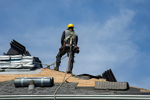 Professional Gutter Installation technician working in Dupo, IL